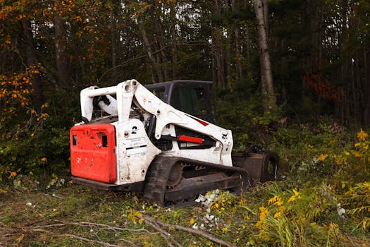 A bulldozer parked in a forest clearing surrounded by autumn foliage in Harbor Springs, Michigan.